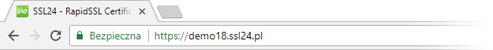 Google Chrome