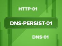 DigiCert wprowadza Persistent DNS TXT. Weryfikacja domeny SSL bez ciągłych zmian w DNS